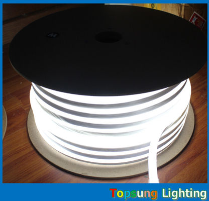 Различные цвета 10*18 мм размеры светодиодный неонный свет с напряжением 110/220/24