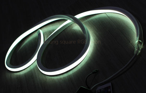 Горячая продажа RGB 16*16m 127V плоский неоновый светодиодный свет изготовлен в Китае