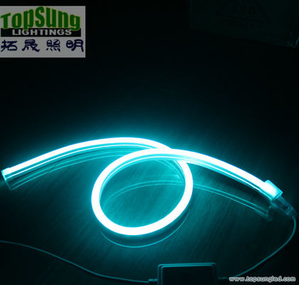 мини-размер RGB LED неоновый флекс 10 * 18 мм полный цветопеременный неоновый свет 110V SMD5050